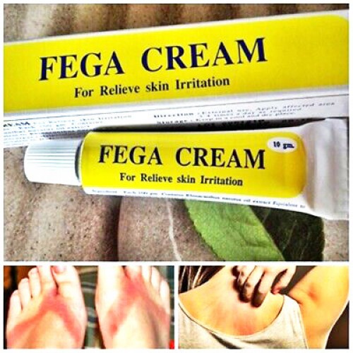 Kem thoa dị ứng da Fega Cream 10g Kem thoa dị ứng da Fega Cream 10g