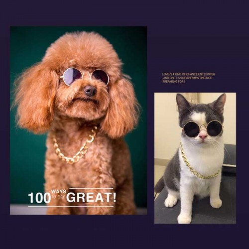 Mắt Kính Cho Thú Cưng