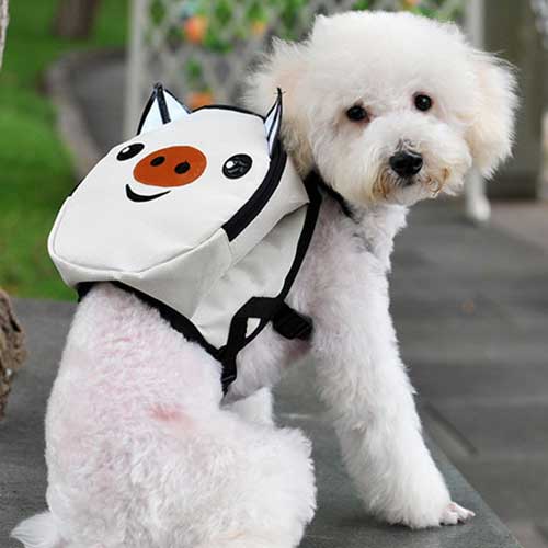 Balo Thời Trang Cho Thú Cưng