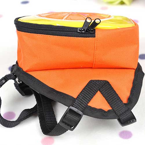 Balo Thời Trang Cho Thú Cưng