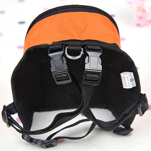 Balo Thời Trang Cho Thú Cưng