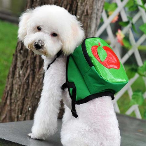 Balo Thời Trang Cho Thú Cưng