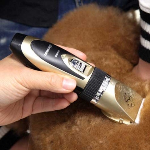 Tông Đơ Cắt Lông Baorun