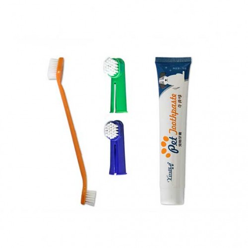 Bộ Bàn Chải Đánh Răng Yingte