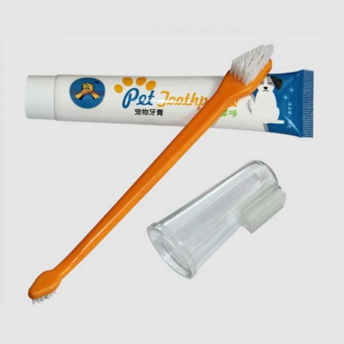 Bộ Bàn Chải Đánh Răng Yingte