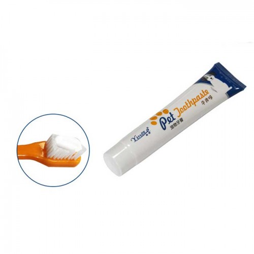 Bộ Bàn Chải Đánh Răng Yingte