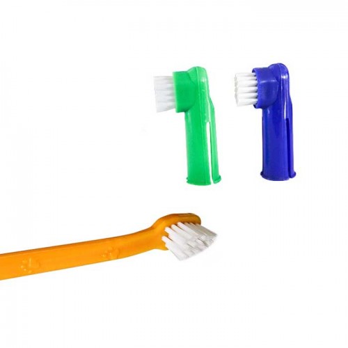 Bộ Bàn Chải Đánh Răng Yingte