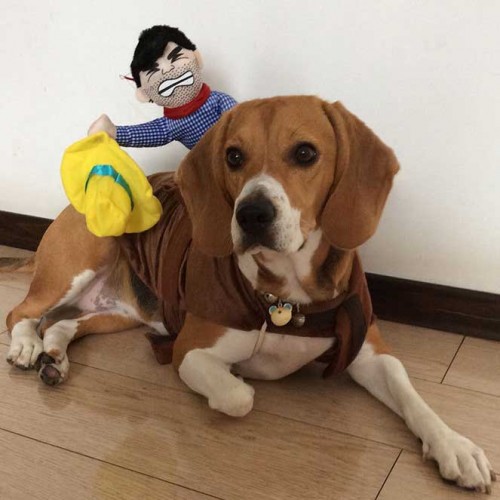 Bộ Trang Phục Cao Bồi