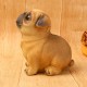 Ống Tiết Kiệm Chó Pug Ống Tiết Kiệm Chó Pug