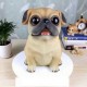 Ống Tiết Kiệm Chó Pug Ống Tiết Kiệm Chó Pug
