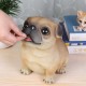 Ống Tiết Kiệm Chó Pug Ống Tiết Kiệm Chó Pug