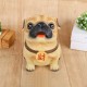 Ống Tiết Kiệm Chó Pug Đeo Chữ Tài