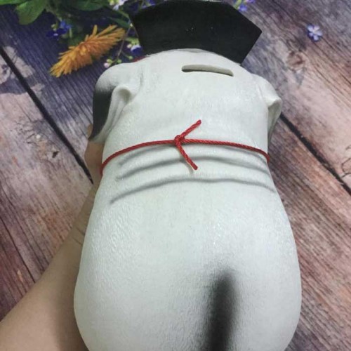 Ống Tiết Kiệm Chó Công Chúa Ống Tiết Kiệm Chó Công Chúa