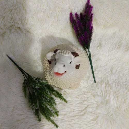 Ống Tiết Kiệm Chú Cừu